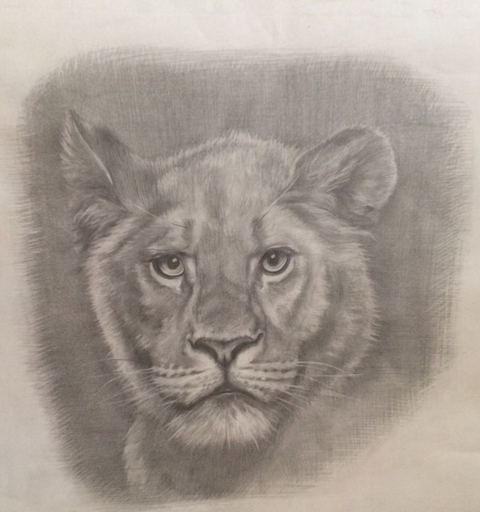 Drawing titled "Lion" by Constantine, Original Artwork, Pencil