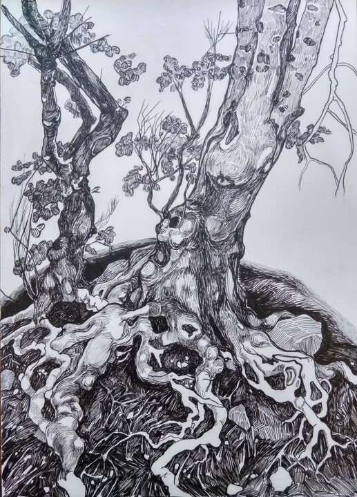 Dessin intitulée "''Roots''1" par Raffi Ghazaryan, Œuvre d'art originale, Stylo gel