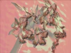 Arte digitale intitolato "Flowers in Spring" da Rahul Gajjar, Opera d'arte originale, Pittura digitale