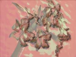Digital Arts titled "Flowers in Spring" by Rahul Gajjar, Original Art, Digital Painting