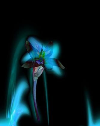 Digital Arts titled "Romula Bulbocodium" by Rahul Gajjar, Original Art, Digital Painting