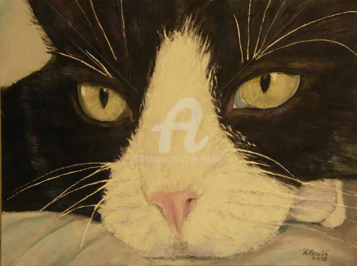 Painting titled "Sissi Cat 3" by Raija Merilä, Original Artwork, Oil