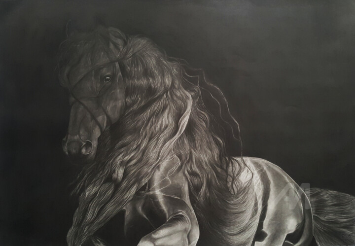 Desenho intitulada "Majestic Friesian H…" por Raissa Levati Pelegrim, Obras de arte originais, Lápis
