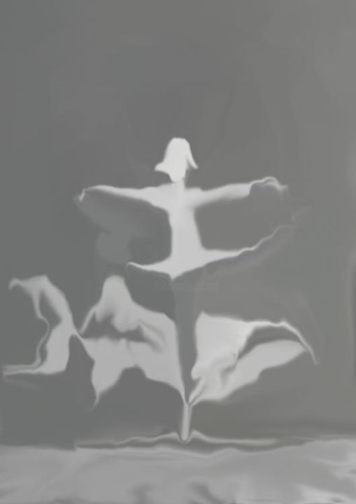 Arte digital titulada "Danse de mirou" por Said Benkiran, Obra de arte original