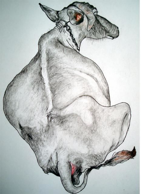 Dibujo titulada "Buffalo 1" por Ramakrishna Kongalla, Obra de arte original