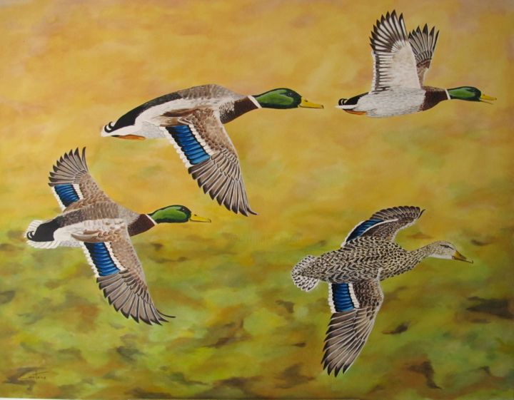 Pintura titulada "Ducks" por Caetano Ramalho, Obra de arte original, Oleo