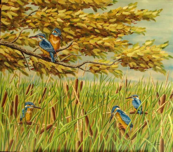 Painting titled "kingfishers birds" by Caetano Ramalho, Original Artwork, Oil