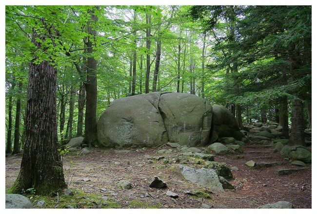 Fotografía titulada "Paisaje El Monseny" por Ramon Oliveras, Obra de arte original