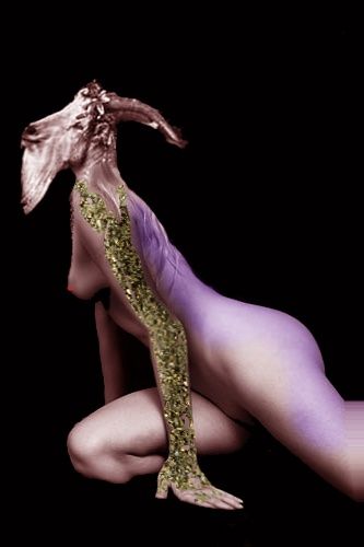 Photographie intitulée "Chiva" par Ness, Œuvre d'art originale