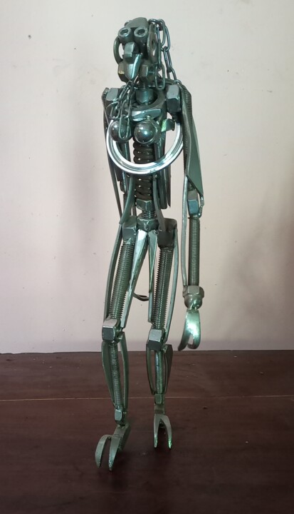 雕塑 标题为“Female” 由Ranil Sugathapala, 原创艺术品, 不锈钢