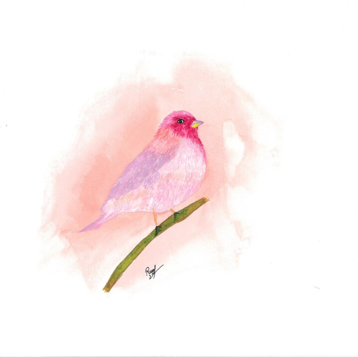 Peinture intitulée "Original Pink Bird…" par Raoufa Yadgar, Œuvre d'art originale, Aquarelle