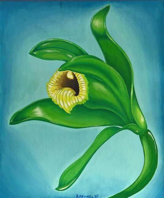 Painting titled "Vanilla Orchid" by Raphael Gottlieb, Original Artwork, Oil