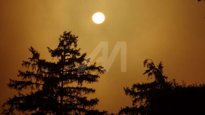 Photography titled "Nature" by Ravi Shankar Das, Original Art,