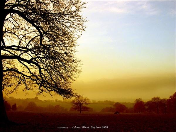 Photography titled "England" by Ravid Wolff, Original Artwork