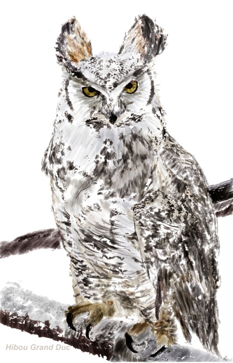 Digital Arts titled "Hibou Grand Duc" by Rc Digipainter436, Original Artwork, Digital Painting