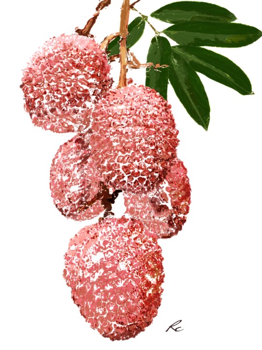 Digital Arts titled "Litchi chinensis" by Rc Digipainter436, Original Artwork, Digital Painting