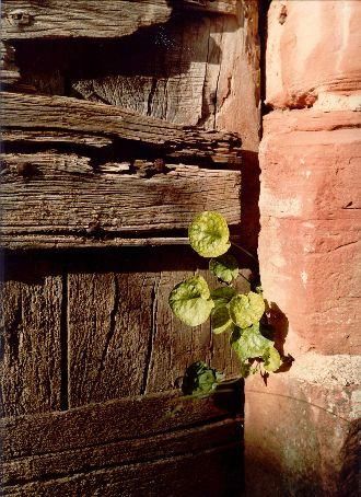 Photographie intitulée "Porte Collonges la…" par Roger Cornet, Œuvre d'art originale