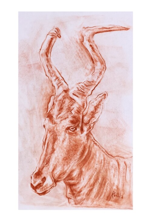 Σχέδιο με τίτλο "Portrait d'antilope…" από Redha Benidiri, Αυθεντικά έργα τέχνης, Μολύβι