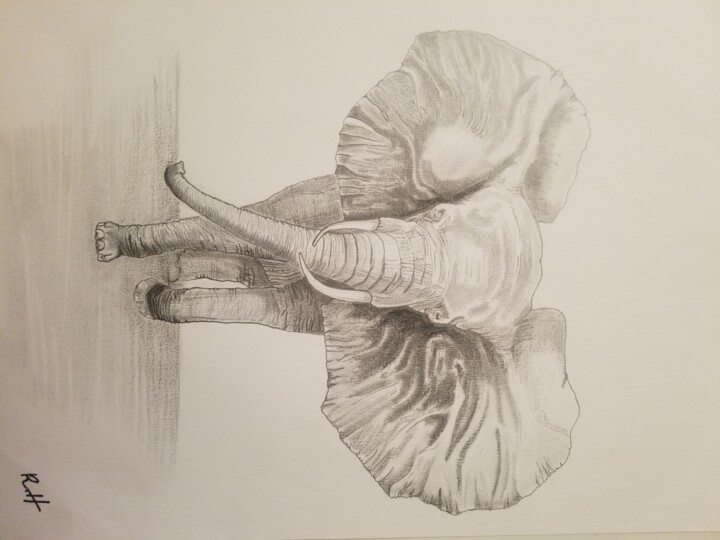 Dessin intitulée "Éléphant" par Redha Hattab, Œuvre d'art originale, Crayon