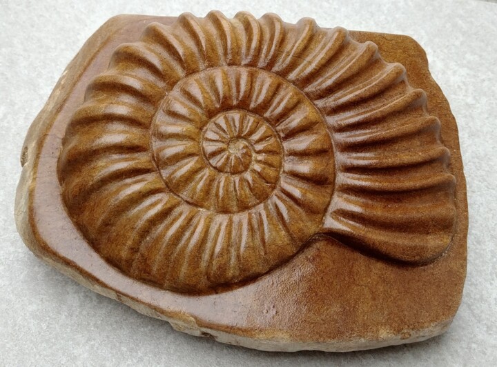 Skulptur mit dem Titel "Ammonit" von Regina Hermann, Original-Kunstwerk, Stein