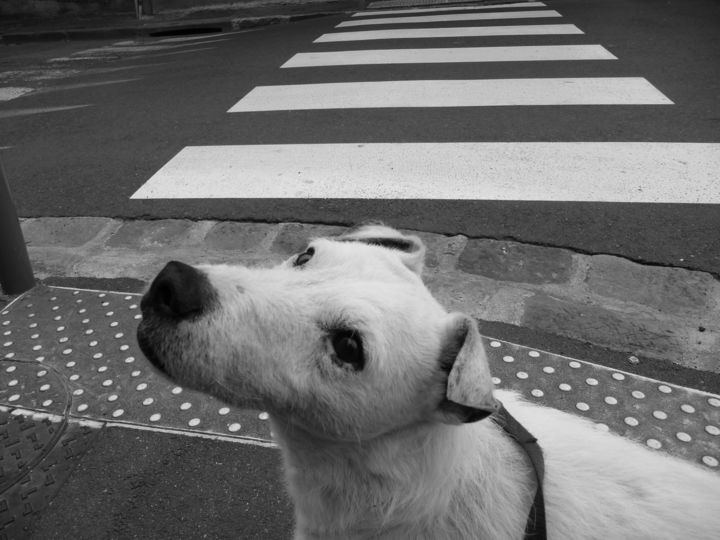 Amour Photography By Régine Ledanois Artmajeur