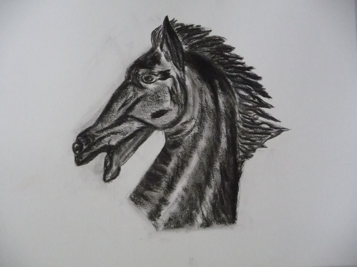 Рисунок под названием "tête de cheval" - Régine Ledanois, Подлинное произведение искусства, Другой