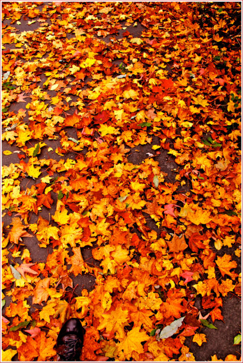 Photographie intitulée "Un pas sur l'automne" par Régis Creignou, Œuvre d'art originale