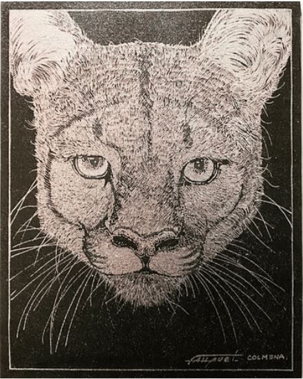 Dessin intitulée "Puma" par Régis Fauquet, Œuvre d'art originale, Marqueur Monté sur Châssis en bois