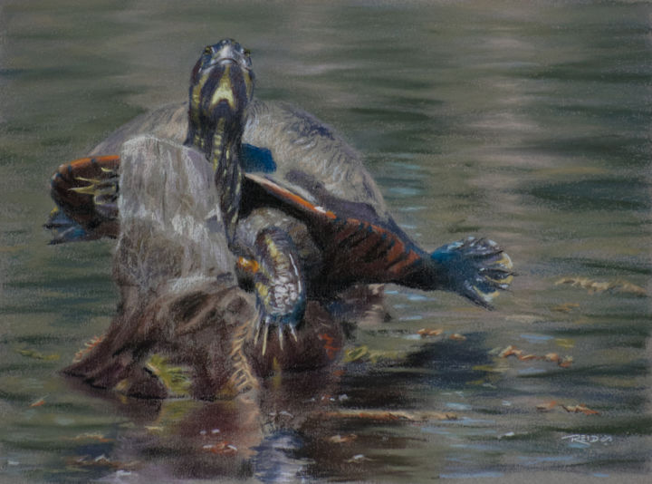 Painting titled "Sunnin' Turtle" by Reidsart, Original Artwork, Pastel