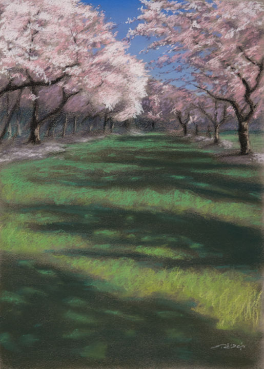 Painting titled "Cherry Trees" by Reidsart, Original Artwork, Pastel