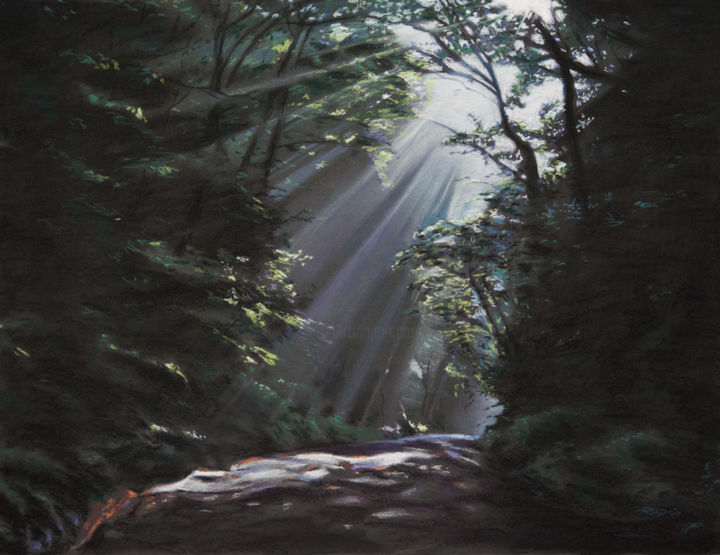 绘画 标题为“Filtered Light” 由Reidsart, 原创艺术品, 粉彩