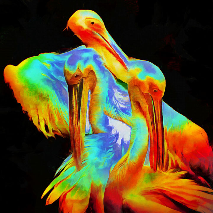 Digitale Künste mit dem Titel "pélicans" von Reiner Borner, Original-Kunstwerk, Digitale Malerei