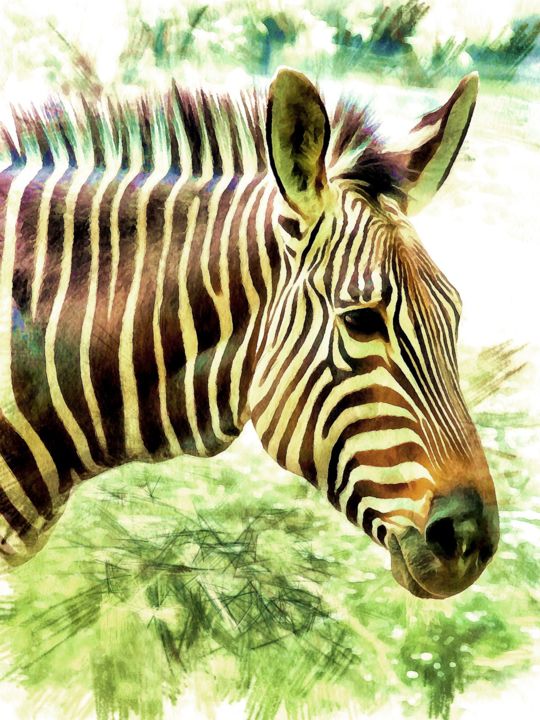 Digitale Künste mit dem Titel "Bergzebra - zébresse" von Reiner Borner, Original-Kunstwerk, Digitale Malerei