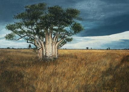 Peinture intitulée "Baobab ( arbre du S…" par Réjean Bergeron, Œuvre d'art originale