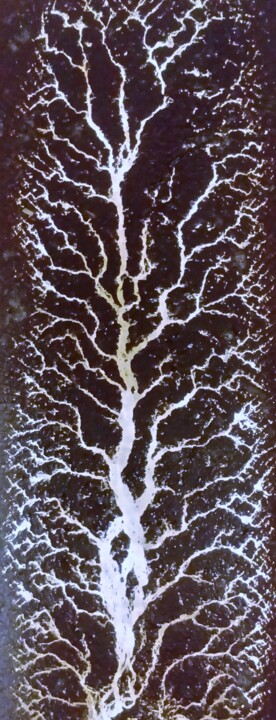 Fotografie getiteld "surreal tree of soo" door Rembert Räni, Origineel Kunstwerk, Digitale fotografie