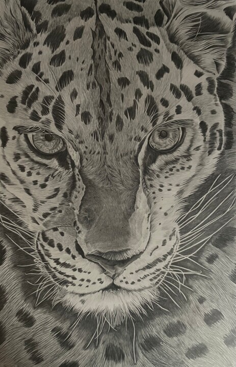 Drawing titled "Jaguar" by Rémi Capobianco, Original Artwork, Pencil