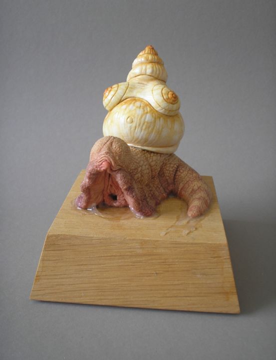 Sculpture titled "Snail" by Remigius Sebastian Sappa, Original Art, Polymer clay