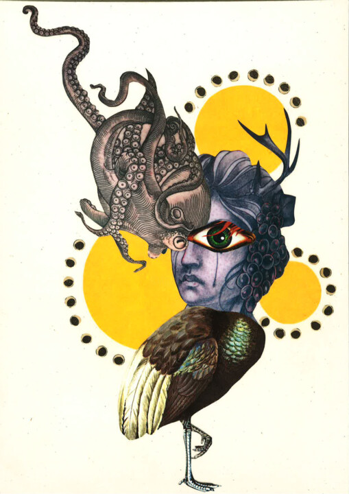 Collages intitulée "L'OISEAU HYBRIDE" par Remy Gaudron, Œuvre d'art originale, Collages