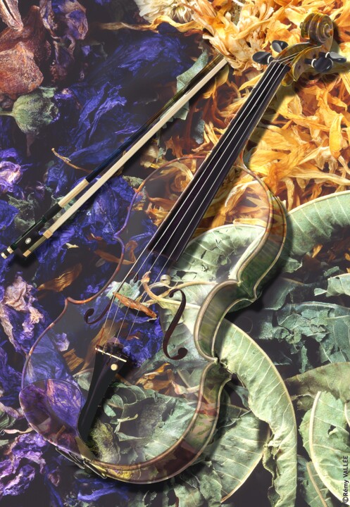 Fotografía titulada "VIOLON D'AUTOMNE" por Rémy Vallée, Obra de arte original, Fotografía digital