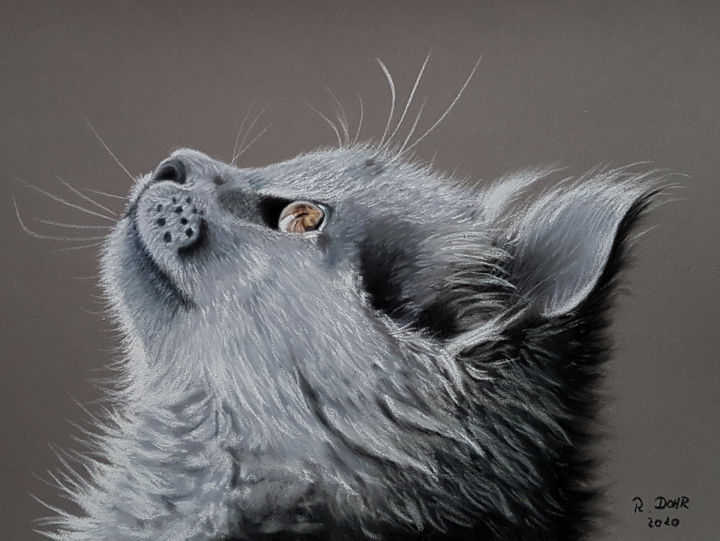 Zeichnungen mit dem Titel "Katzenaugenblick" von Renate Dohr, Original-Kunstwerk, Pastell