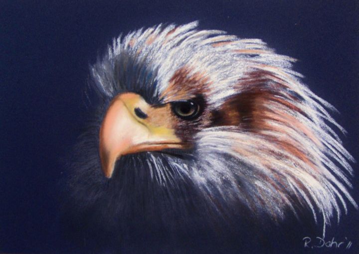 Tekening getiteld "Eagle" door Renate Dohr, Origineel Kunstwerk, Pastel