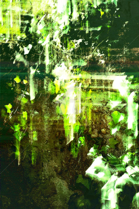 Photographie intitulée "Végétal 8" par Renaud Klumpp, Œuvre d'art originale, Photographie numérique