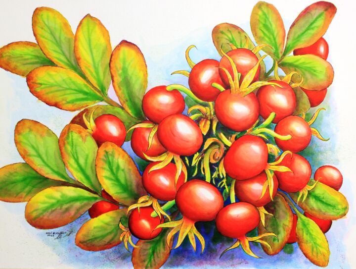 "Fruits de rosier sa…" başlıklı Tablo René Blanchet tarafından, Orijinal sanat, Mürekkep