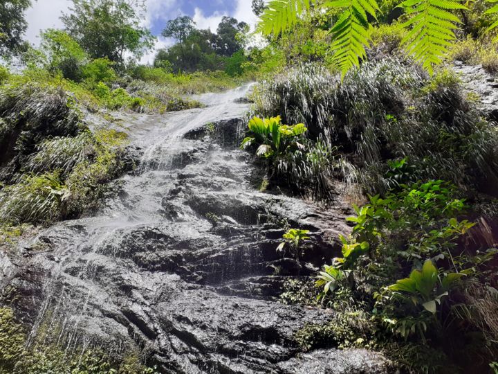 Photographie intitulée "MARTINIQUE cascade" par Rene Hugon, Œuvre d'art originale, Photographie numérique