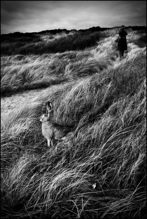 Photography titled "Le Rendez-Vous d'Al…" by René Bui, Original Artwork