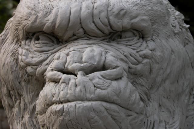 Sculptuur getiteld "Gorila blanco" door Pedro Requejo Novoa, Origineel Kunstwerk