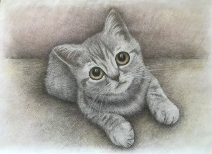 Drawing titled "Cute cat" by Michael Reshetniak, Original Artwork, Conté