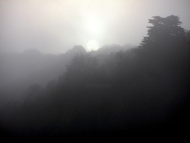 Photographie intitulée "brume matinale" par Joël Le Jeune, Œuvre d'art originale