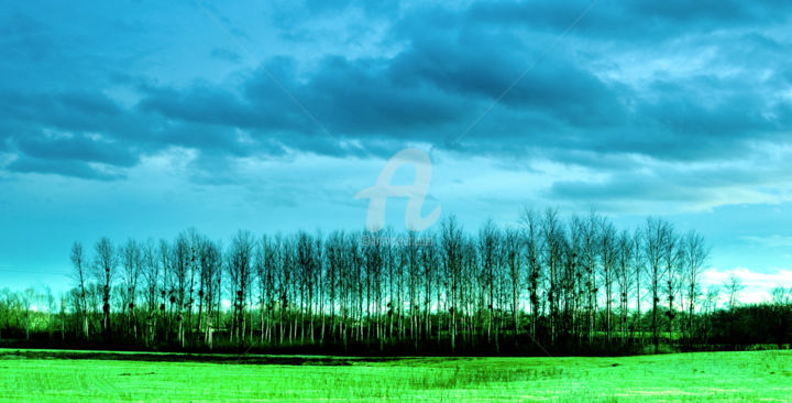 Photographie intitulée "Arbre bleu...." par Karine Revillon, Œuvre d'art originale