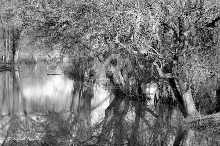 Photographie intitulée "Mâcon nature" par Karine Revillon, Œuvre d'art originale, Photographie numérique